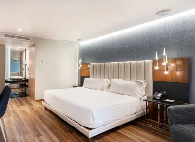 Hotel Real del Rio