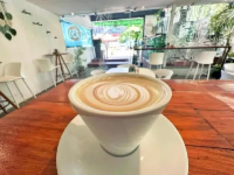 Surf Ranch Tamarindo Hotels in Tamarindo