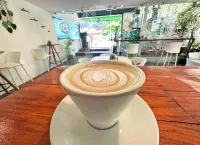 Surf Ranch Tamarindo