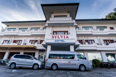 Sylvia Hotel Maumere Hotels near Frans Xavier Seda Airport