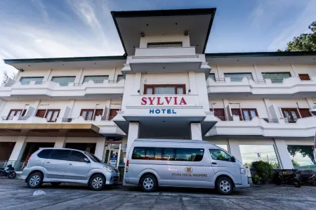 Sylvia Hotel Maumere Отели в г. Sikka Regency