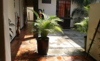 Posada Hotel Punto Guadalajara