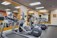 Hilton Garden Inn North Houston/Spring - Gym