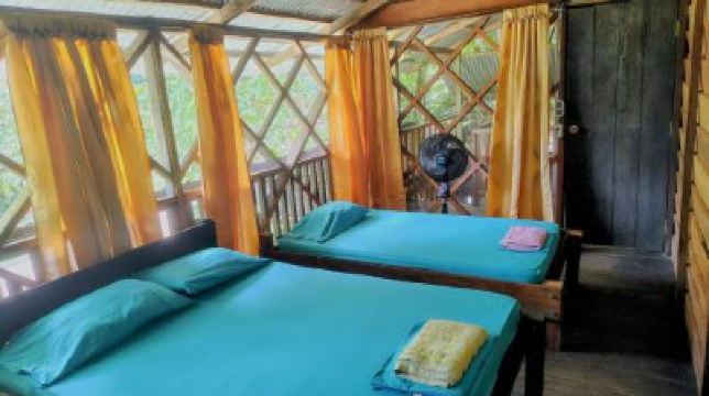 Family Room With Private Bathroom Ayahuasca Photo