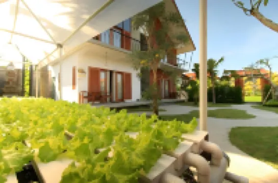 Kubu Tropis Hotels near Ubud