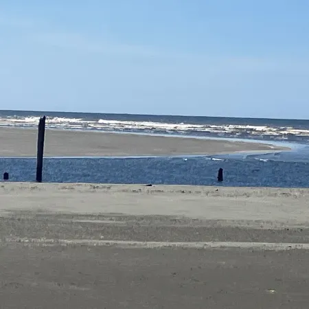 Moments to beach. Two queen beds, full kitchen with essentials. Dog friendly.