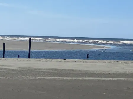 Moments to beach. Two queen beds, full kitchen with essentials. Dog friendly.