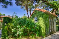 Heated Saltwater Pool and Lush Landscaping - Charming Modern Retreat
