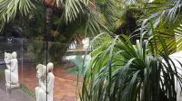Ballina Palms Boutique Motel Hotels near Ballina Byron Gateway Airport