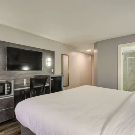 Clarion Pointe Tampa-Brandon Near Fairgrounds and Casino