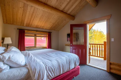 Miette Mountain Cabins - Homestays