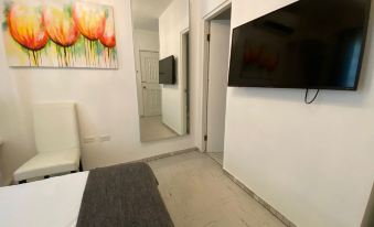Aibonito Hotel 207