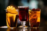 Hotel Jantar Wellness & Spa - bar