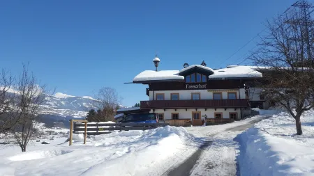 Fasserhof Отели в г. Гемайнде Брамберг ам Вильдкогель