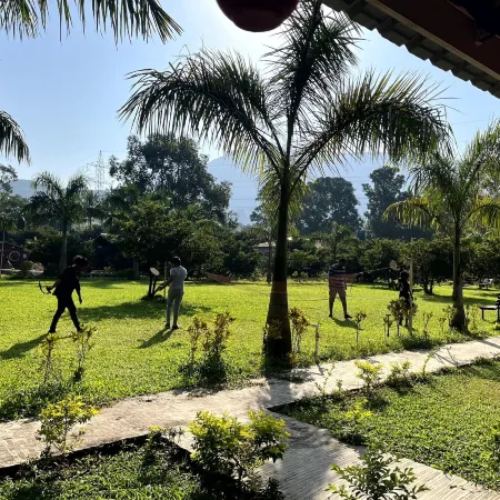 Mango Tree Farm