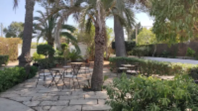 Hostal Alma Hoteles en 