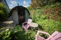Guesthouse de Witte Merel Deluxe - Homestays