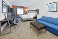 Holiday Inn Express & Suites DALLAS - DUNCANVILLE by IHG Hotels in Cedar Hill