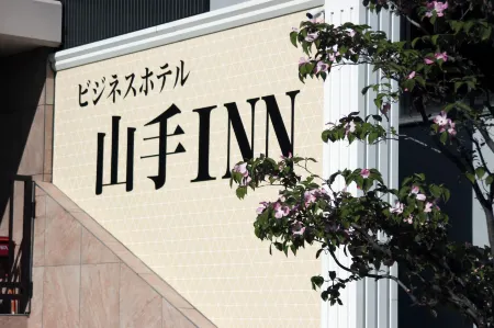 Business Hotel Yamate Inn Отели в г. Кофу