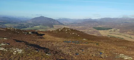 Ardvonie House Отели рядом с достопримечательностью «Working Sheepdogs»