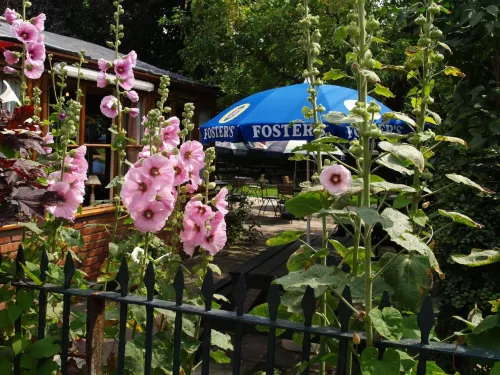 The Olde Windmill Inn Hotels in Swaffham