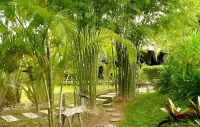Gims Resort - 3-Star