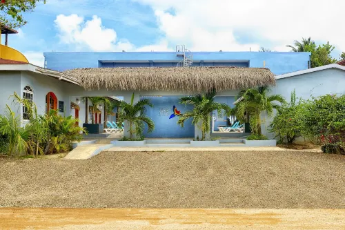 Parrot Cove Lodge - bar