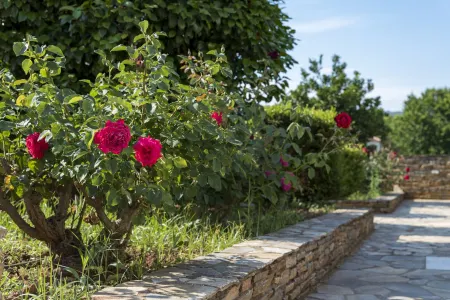 Harmony Seaside Pelion