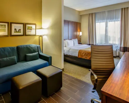 Comfort Suites Georgetown Hotels in Georgetown