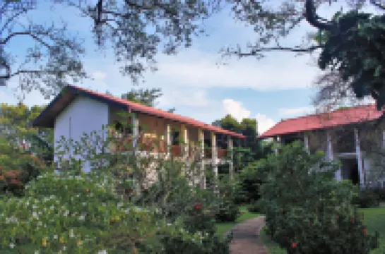 Blue Turtle Hotel โรงแรมใกล้Tissa Dagaba