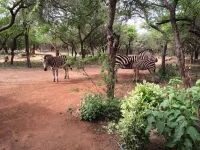 Kruger Cottage - Parkplatz
