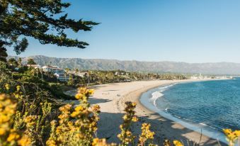 Best Western Plus Pepper Tree Inn