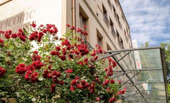 Hotel Niky