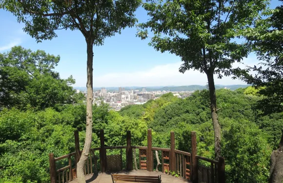 岡山國際酒店