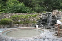 Chungju Suanbo Park Hotel - spa