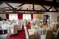 Hotel Antoniushütte - Kæledyr tilladt