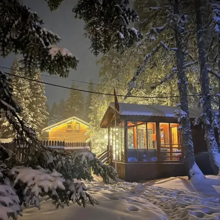 Karinna Forest Houses