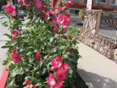 Fullerton Lodge Hoteles en Fullerton