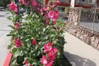 Fullerton Lodge Hotels in Fullerton