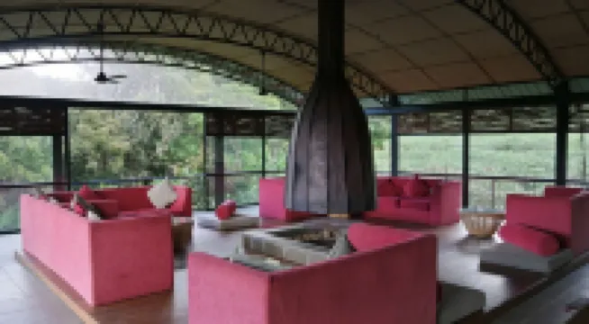 熱帶雨林生態度假旅館