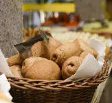 Pousada Praia do Jabaquara