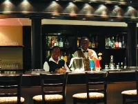 Safari Hotel & Convention Centre - bar