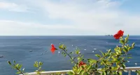 Hotel Marincanto - Ocean View