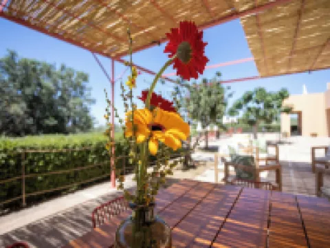 Country House Planeta Estate Hoteles en Menfi