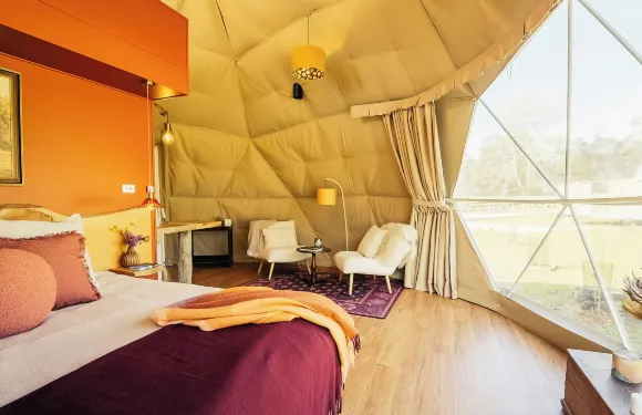 懷爾德塔斯馬尼亞