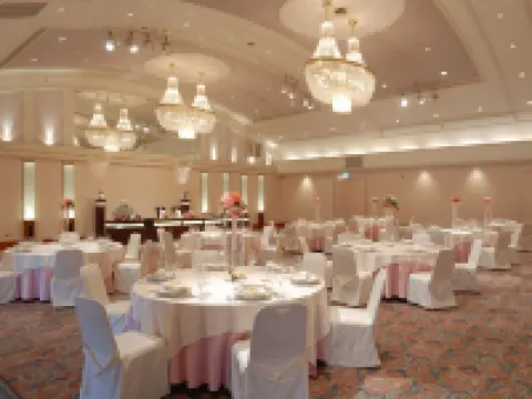 Niigata Grand Hotel Hotels in Niigata City