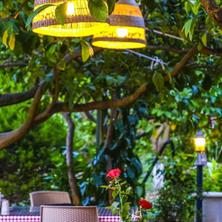 Lemon Garden Lodge