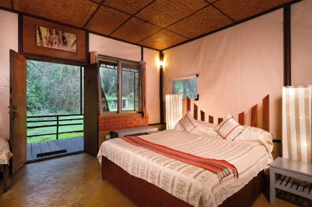Jungle Hut