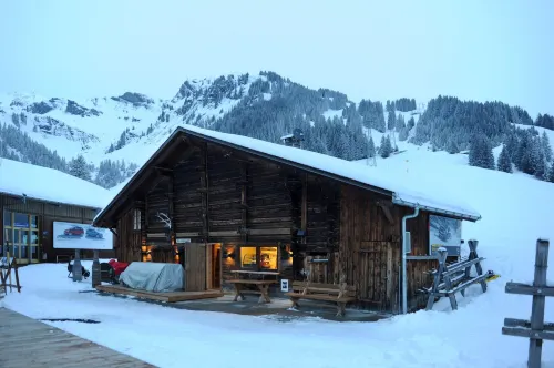 Alpinhotel Bort Hotels in Grindelwald