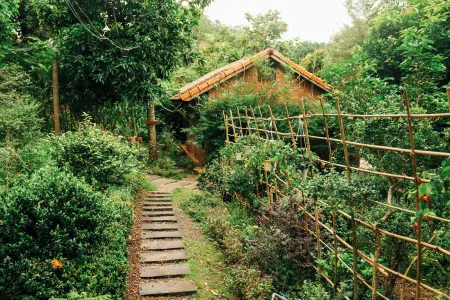 Suoi Rao Ecolodge Отели в г. Chau Duc District